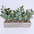 Mixed Eucalyptus Leaves Stems Bulk Faux Seeded Eucalyptus Leaves Sprays Artificial Silver Dollar Eucalyptus Leaves Stems for Floral Wreath Garland Bouquets Arrangement Wedding Greenery Decoration
