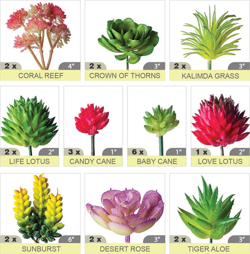 24 Pack Mini Artificial Succulent Plants Unpotted : Fake Succulents Picks Realistic Plastic Cactus Stems for Terrarium Bulk Small Faux Assorted Arrangements Flocked Greenery