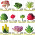 24 Pack Mini Artificial Succulent Plants Unpotted : Fake Succulents Picks Realistic Plastic Cactus Stems for Terrarium Bulk Small Faux Assorted Arrangements Flocked Greenery