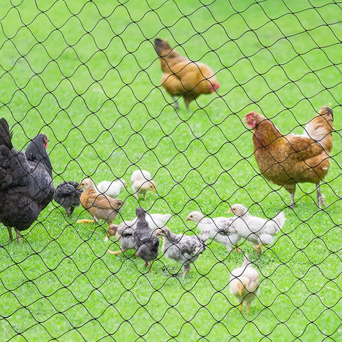 boknight Bird Netting for Garden, 25 X 50 feet Net Netting for Bird Poultry Aviary Heavy Duty Chicken Netting with Ropes& Cable Ties, 2.4 inch Square Mesh Size (25' x 50'-2.4'')