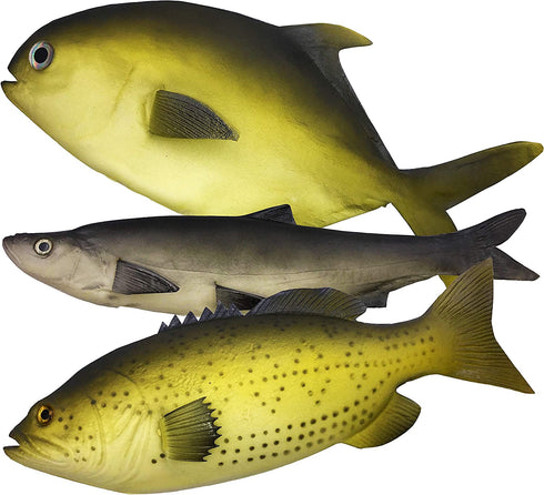 3 Large Artificial Fish- 12 to 16 in - Premium Quality - Realistic Fake Fish - Best Looking Real Fish Perfect for Food Display or Food Photography Prop - Flexible Foam Material