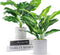WUKOKU 2pcs Fake Plants 16" Faux Plants Artificial Potted Plants for Home Office Farmhouse Kitchen Bathroom Table Shelf Decor