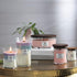 WoodWick Coastal Sunset Medium Hourglass Candle, 9.7 oz.