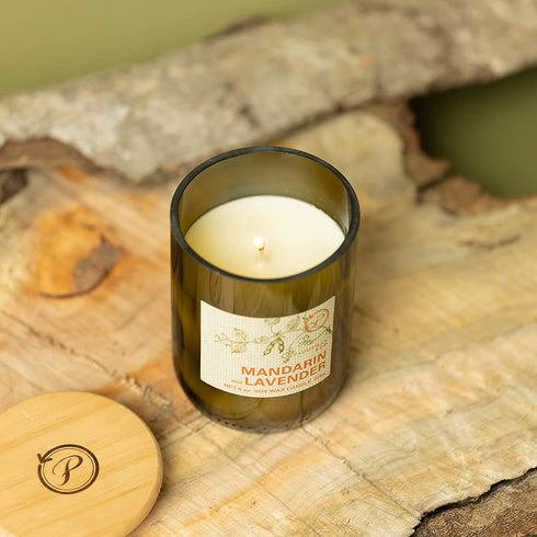 Paddywax Candles Eco Green Collection Scented Candle, 8-Ounce, Mandarin & Lavender