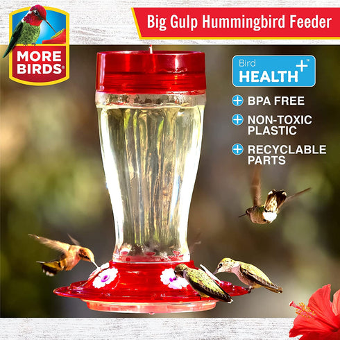 More Birds Bird Health+ Big Gulp Hummingbird Feeder, Glass Hummingbird Feeders for Outdoors, 5 Feeding Stations, 40 Ounces