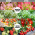 Grow Lights, Clip-on Plant Grow Lights with Red Blue LED Bulbs for House Plants Hydroponics Succulent Growing, 3 Light Modes Timing Function (20)
