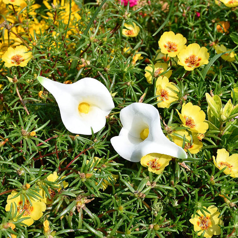 Mandy's 20pcs White Flowers Artificial Calla Lily Silk Flowers 13.4" for Home Kitchen & Wedding