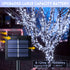JMEXSUSS 2 Pack Upgraded Solar String Lights 200LED 75.5ft Solar Christmas Lights Outdoor Waterproof 8 Modes White Solar Lights for Christmas, Gardens, Wedding, Party, Tree, Outdoors Decorations