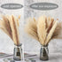 Natural Dried Pampas Grass 65pcs Boho Decor Pampas Grass Bundles Perfect for Home Wedding Decoration Kitchen Decor Flower Arrangement DIY Wreath Balcony Placement