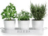 Barnyard Designs Herb Pot Planter Set with Tray for Indoor Garden or Outdoor Use, White Metal Succulent Potted Planters for Kitchen Windowsill, (Set of 3, 4.25? x 4? Planters on 12.5? x 4" Tray)