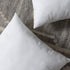 Phantoscope Pillow Inserts 14 x 14, Set of 4 Hypoallergenic Square Form Decorative Throw Pillow Inserts, Made in USA Couch Bed Pillows - 14 inches