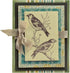 Spellbinders S5-131 Nestabilities Card Creator A-2 Matting Basics A Die Templates