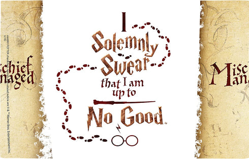 Tervis Harry Potter-I Solemnly Swear That I Am up to No Good Insulated Tumbler with Wrap and Brown Lid, 16oz, Clear