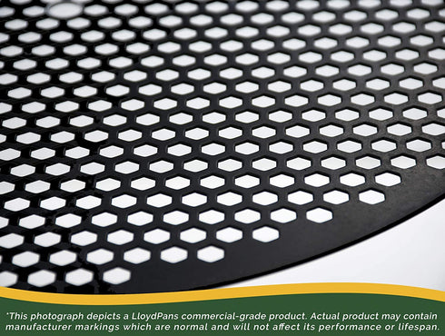 LloydPans Hex Disk, Pre-Seasoned PSTK (1, 10 inch)