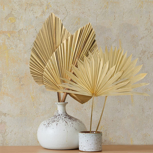 Dried Palm Leaves,4 Pieces 12X18 inch Natural Dried Palm Fans Neutral Home House Decor | Wedding Decor | Leaves + Flower + Leaf Decor
