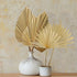 Dried Palm Leaves,4 Pieces 12X18 inch Natural Dried Palm Fans Neutral Home House Decor | Wedding Decor | Leaves + Flower + Leaf Decor