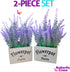 Butterfly Craze Artificial Lavender Plants in White Box Pots (Set of Two) Rustic Home Decor and Beautiful Lifelike Faux Silk Flower Arrangements for Kitchen, Office, Weddings & Beyond - White Boxes