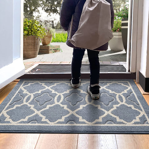 DEXI Indoor Door Mat, 32"x20" Non-Slip Low-Profile Entrance Rug, Absorbent Machine Washable Front Doormats for Back Door, High Traffic Areas, Grey