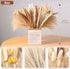 Mckanti Dried Pampas Grass, 80 Pcs Natural Pampas Grass, with 6 Colors DIY 17.7" Pampas Grass Dried Flowers, Boho Home Wedding Party Decor.