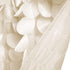 Lush Décor Gigi Valance, 14" x 70", Ivory