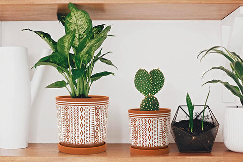 Set of 2 Terracotta Pots, 4 Inch & 6 Inch, Planter Pots for Plants with Drainage Holes and Saucers, Terracotta/White, Small, 31-958-A-1