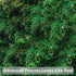 Timoo Fake Moss for Plants, Artificial Green Moss for Flower Plant Garden Lawn Crafts Wedding Decoration