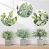 ODOM Artificial Plants, 3Pcs Small Fake Plants for Bedroom Aesthetic, Faux Eucalyptus Plants for Office Desk Bathroom Farmhouse Home Decorations