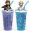 Zak Designs Disney Frozen 2 - Funtastic Tumbler Set with Straw and Unique 3D Character on Lid, Screw-On Lid with Durable Straw Keeps Liquids In (Elsa & Anna, 15 oz, BPA-Free, 2pc Set)