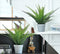 Hejdeco Artificial Fern Potted Plants 2 Pack, Fake Boston Fern, 19pcs Greenery Foliage, Up to 20-inch Wide, Perfect for Home Office Decor (Grey)