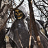FUN LITTLE TOYS 70 Inches Halloween Hanging Grim Reaper Decoration, Halloween Scary Skeleton Ghost for Indoor and Outdoor, Haunted House Prop Décor, Yard Decor