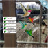 12 Hummingbird Window Clings - Beautiful Anti-Collision Window Stickers - Non Adhesive and Reusable Vinyl Window Decals for Birds Strikes