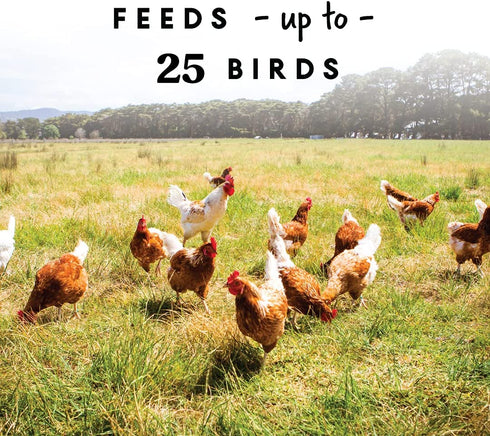 Harris Farms Free Range Hanging Poultry Feeder | Twist Lock Base | 10 Pound