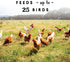 Harris Farms Free Range Hanging Poultry Feeder | Twist Lock Base | 10 Pound