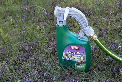 Ortho Weed B Gon Chickweed, Clover & Oxalis Killer for Lawns, 32 Oz.