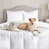 Nestl Dark Green Duvet Cover Full Size - Soft Full Size Duvet Cover Set, 3 Piece Double Brushed Duvet Cover with Button Closure, 1 Full Duvet Cover 80x90 inches and 2 Pillow Shams