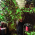 JMEXSUSS 2 Pack Green Solar Lights 200LED 75.5ft St Patrick's Day Lights with 8 Lighting Modes Solar String Lights Outdoor Waterproof for Garden, Christmas, Halloween, St Patricks Day Decorations