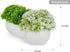Mini Artificial Plants | Modern Farmhouse Plants Home Decor | Small Fake Plants | Office/Kitchen/Bathroom/Bedroom/Mantle/Shelf/Living Room/Table Decoration Faux Plant Set