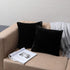 SISIZH Decorative Plush Faux Fur Throw Pillow Covers with Zipper Closure, 20x20 Inch Luxury Velvety Soft Square Cushion Cases Pillowcase for Couch, Set of 2, Black
