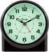 Equity by La Crosse 14080 Analog Night Vision Alarm Clock, Pack of 1, Black