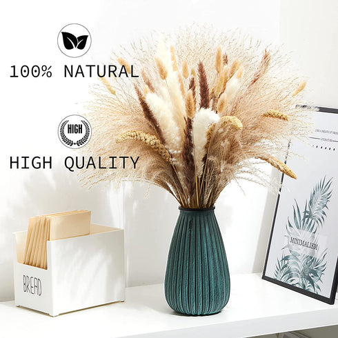 Nuzyz Natural Dried Pampas Grass Plumes 70pcs 17.5 Inch Rabbit Tail Millet Mixing Bulrush Fluffy Living Room Vase Arrangement Boho Bouquet Home Decor