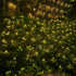Solar LED Net Lights, 5.9Ft x 3.9Ft 120 LED Mesh Lights with 8 Modes, IP65 Waterproof Fairy Fence Lights for Outdoor Fence Garden Backyard Wedding Party (Warm White)