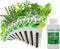 AeroGarden Assorted Italian Herb Seed Pod Kit (9-pod)