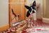CLAW SHIELD THE TOUGHEST SCRATCH PROTECTOR, CLAW BARRIER FOR ANXIOUS DOG. PREVENT DOOR, DOOR FRAME & WALL DAMAGE SCRATCH BARRIER FOR DOG & CAT CLAWING
