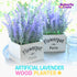 Butterfly Craze Artificial Lavender Plants in White Box Pots (Set of Two) Rustic Home Decor and Beautiful Lifelike Faux Silk Flower Arrangements for Kitchen, Office, Weddings & Beyond - White Boxes