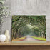 Oak Tree Canvas Wall Art: Green Landscape Artwork Forest Picture Painting Small Size for Bathroom (16'' x 12'' x 1 Panel)