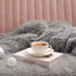 Toneed Comfy Fuzzy Throw Blanket for Home Decor, Plush Faux Fur Blankets, 50'' x 60'' Furry Sherpa Reversible Fleece Blanket for Girl Room, Office, Sofa, Couch and Bed, Grey