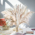 WILD AUTUMN 80PCS Natural Dried Pampas Grass Bouquet,Boho Home Decor Bouquet, Phragmites Dried Flowers,Bouquet for Wedding Floral Arrangements Home Decorations