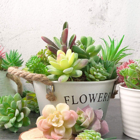 FEPITO 16 Pcs Random Size Artificial Succulent Plants Unpotted Succulents Picks Faux Succulent Plant in Green Stems for Home Indoor Garden Decoration