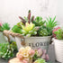 FEPITO 16 Pcs Random Size Artificial Succulent Plants Unpotted Succulents Picks Faux Succulent Plant in Green Stems for Home Indoor Garden Decoration
