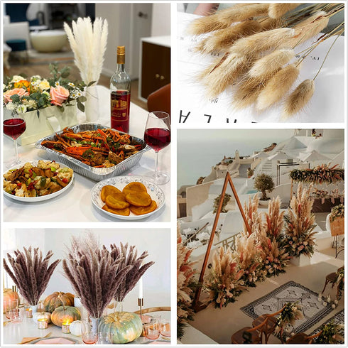 Total 75Pcs Natural Dried Pampas Grass Decor 17Inch,15Pcs White Pampas,15Pcs Brown Pampas,15Pcs Fluffy Bunny Tails Pampas Grass,30Pcs Reed Grass, for Flower Arrangements Boho Wedding Home Decor